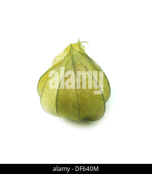 Cape gooseberry, physalis isolated on white background. (with clipping work path) Stock Photo