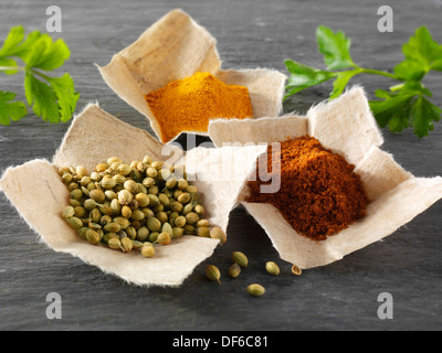 Coriander seeds, ground chilli powder & ground turmeric Indian spices Stock Photo