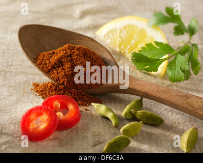 Fresh & ground chillies with cardomom seeds, lemon & coriander. Indian spices  composed arrangement Stock Photo