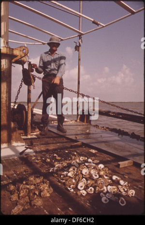 LAKE BORGNE OYSTERMEN CLAIM RELEASE OF MISSISSIPPI RIVER FLOOD WATERS HAS POLLUTED THEIR OYSTERBEDS. SOME OF THE MEN... 552865 Stock Photo