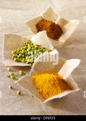 Coriander seed, ground chilli powder & ground turmeric spices composed arrangement Stock Photo