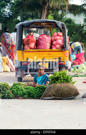 Indian woman selling herbs and leaf vegetables from sacks at a street market.  Puttaparthi, Andhra Pradesh, India Stock Photo