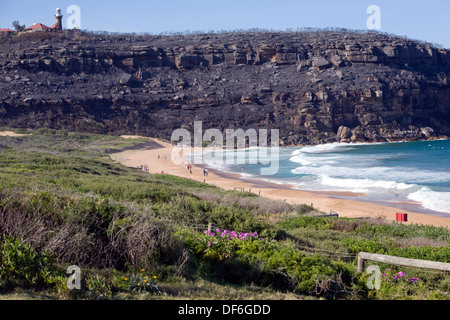 Barrenjoey headland after the bush fire in september 2013, showing exposed rock on the headland,Palm Beach,NSW,Australia Stock Photo