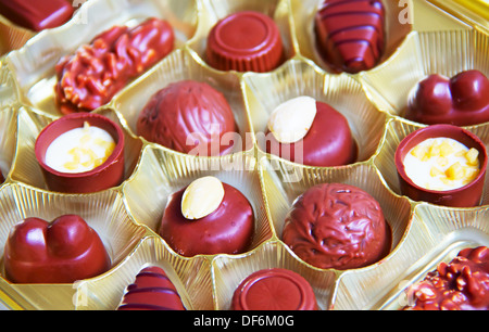 Variety of hand made swiss chocolate Stock Photo