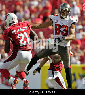 Arizona Cardinals wide receiver Daniel Arias (87) in action against the  Minnesota Vikings during the first half of an NFL preseason football game  Saturday, Aug. 26, 2023 in Minneapolis. (AP Photo/Stacy Bengs