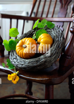 Fresh whole Mini Orange Pumpkins Stock Photo