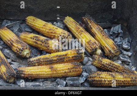 Roasted sweet corn on the cob, at country Stock Photo