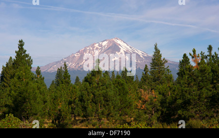 Mount Shasta looms over the rich protested land of the west Stock Photo