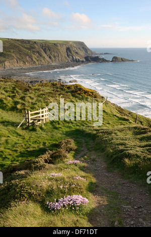 View from The Hermitage along the coastal footpath overlooking Welcombe Mouth Beach, North Devon, UK. Stock Photo