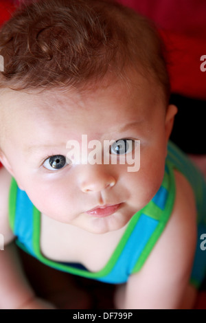 Karl, nine months old baby Stock Photo