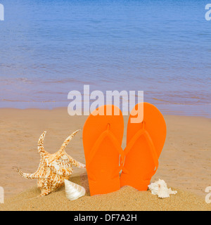 orange sandals and seashells in sand on beach Stock Photo