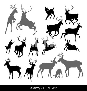 Silhouette Deer including fawn, doe bucks and stag. Also two stags fighting ans a family group set Stock Photo