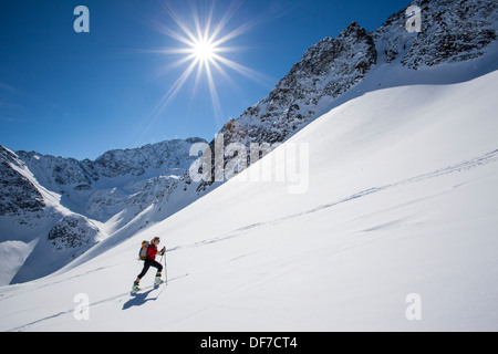 Ski tour walker to the Steintalspitzen summits, Stubai Alps, Kühtai, Tyrol, Austria Stock Photo