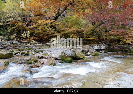 Arazas river in Ordesa National Park, Pyrenees, Huesca, Aragon, Spain Stock Photo