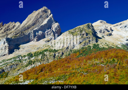 autumn forest and rocky mountain in Pineta Valley, Pyrenees, Huesca, Aragon, Spain Stock Photo
