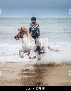 Horseback riding on the coast,  Longufjorur beach, Snaefellsnes Peninsula, Iceland Stock Photo