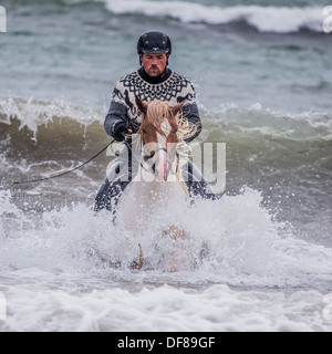 Horseback riding on the coast,  Longufjorur beach, Snaefellsnes Peninsula, Iceland Stock Photo