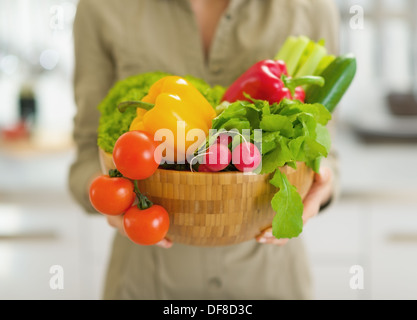 Closeup on plate full of vegetables in modern kitchen in hand of housewife Stock Photo