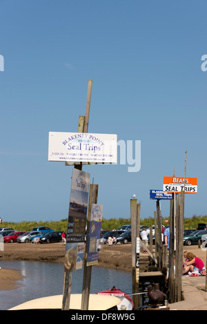 Boats advertising trips to see seals from the quay at Blakeney, Norfolk, England. Stock Photo