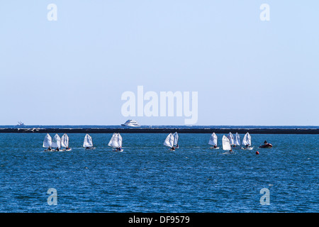 Sailing lessons at the Port of Los Angeles with small one person sailboats Stock Photo