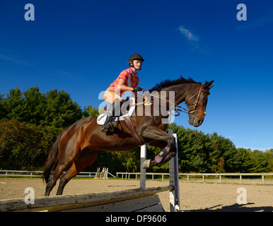Young female rider jumping an oxer hurdle on a bay thoroughbred gelding horse in a training ring Ontario Canada with blue sky Stock Photo