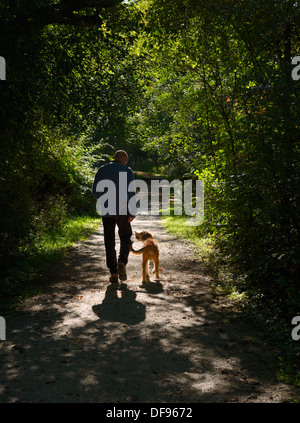 Man walking his dog on a path in a green forest of Toronto Stock Photo