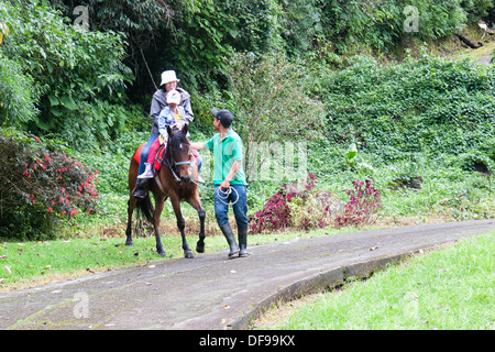 the wife and kid learning to ride... Stock Photo