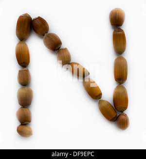Letter N. Hazelnut. Stock Photo