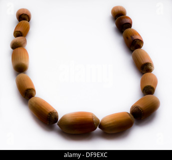 Letter U. Hazelnut. Stock Photo