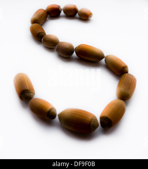 Letter S. Hazelnut. Stock Photo