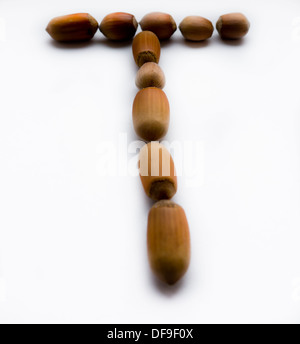 Letter T. Hazelnut. Stock Photo