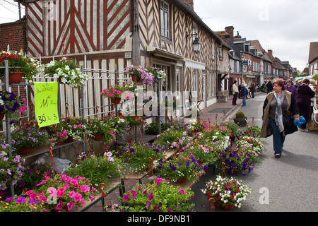 Hanging baskets for sale at a street market plant fair in Beuvron-en-Auge, Normandy, France Stock Photo