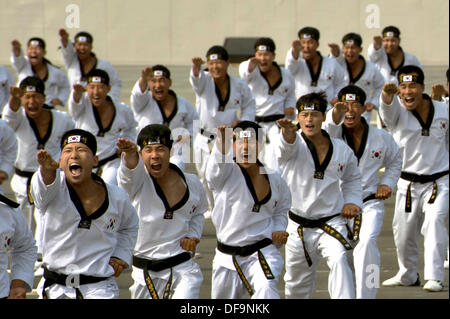 Republic of Korea army martial arts specialists scream during a military parade to commemorate the anniversary of the ROK-U.S. Alliance October 1, 2013 in Seoul, South Korea. Stock Photo