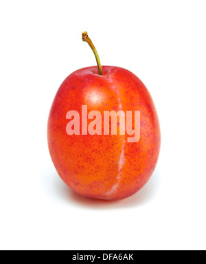 A whole plum on a white background. Stock Photo