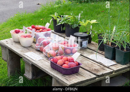 Surplus garden produce for sale on a small table outside a house in a country village Stock Photo