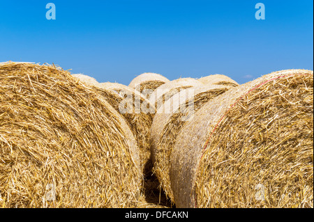 Austria, Hoersching, Straw bales after harvest Stock Photo