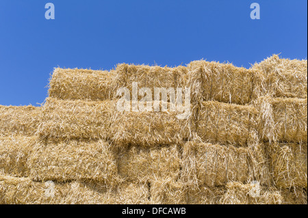Austria, Hoersching, Straw bales after harvest Stock Photo