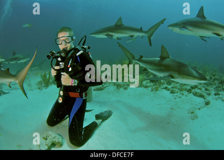 A scuba diver swims with white-tipped reef sharks in the Bahamas Stock Photo