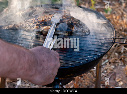 Sea Bream Fish Grilled and taken by off the grill Stock Photo