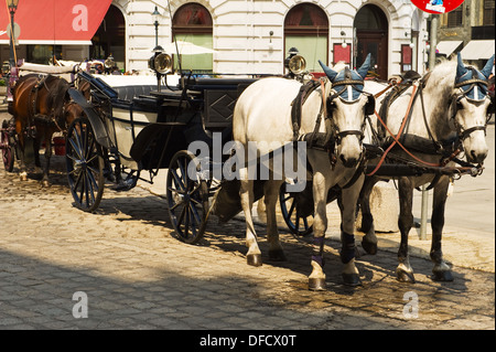 Horse-driven carriage Hofburg in Vienna, Austria Stock Photo