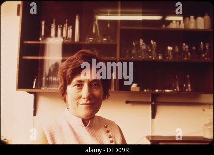 Ruđer Bošković Institute laboratory