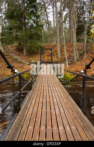 Chain bridge over river in forest Stock Photo