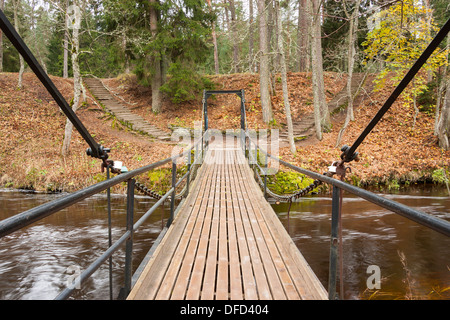 Chain bridge over river in forest Stock Photo