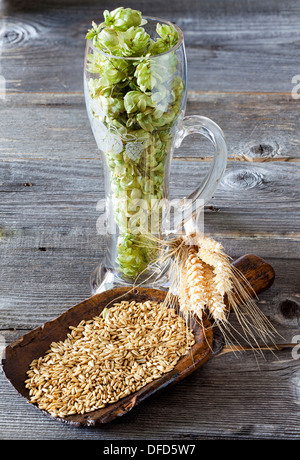 Cereals and cereal ears on an old grain scoop and green hops in a beer glass on a old rustic wooden table Stock Photo
