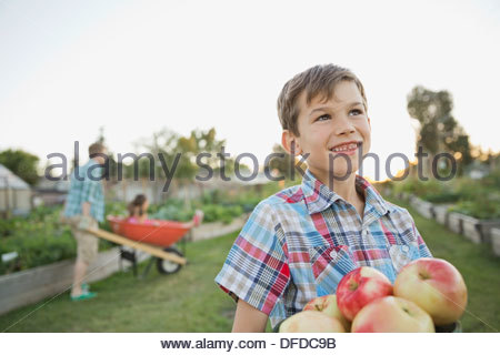 Thoughtful boy holding apples in community garden