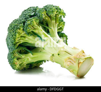 green broccoli isolated on White Background Stock Photo