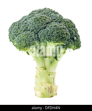 green broccoli isolated on White Background Stock Photo