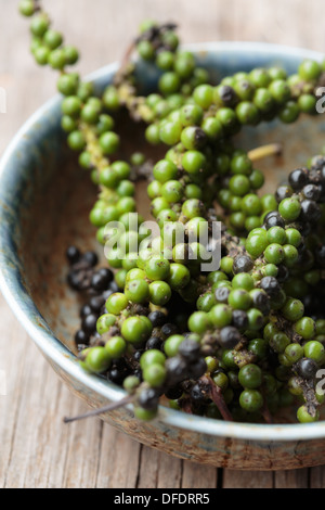 Fresh black Peppercorns (piper nigrum) Stock Photo