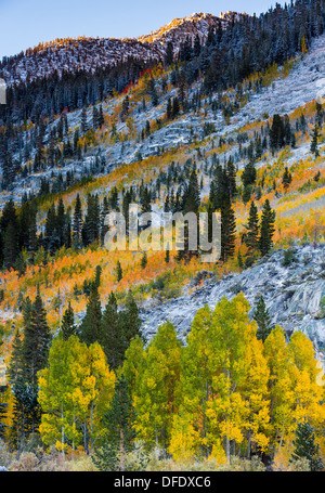 Fall Colors at South Fork Bishop Creek, California Stock Photo