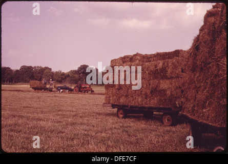 FARM ON ROUTE 35 NEAR PT. PLEASANT. IN THIS SECTION, THE KANAWHA RIVER VALLEY WIDENS, AND INDUSTRY GIVES WAY TO... 551169 Stock Photo